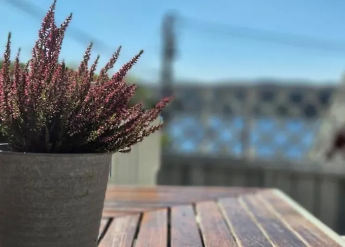 Feriehus Thorse Tønsberg